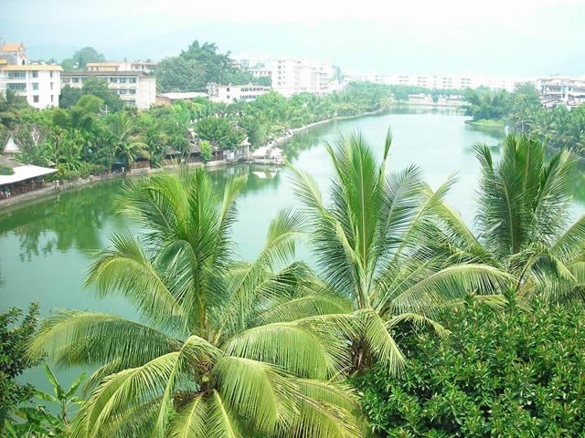 ȸ