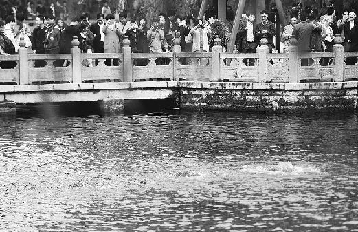 收入证明_济南市旅游收入(3)