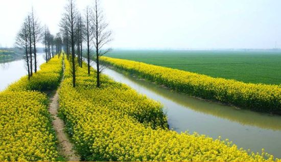 现代农业示范园