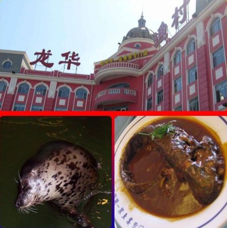 点击图片查看详情 龙华吃海鲜的地方_深圳地铁龙华线_深圳龙华粉碎机螺丝