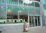 SALAMANDER图片