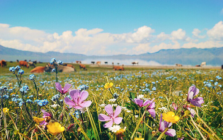 去新疆旅游注意事项(最佳时间、饮食和住宿、