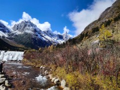 总台春晚宣扬片再次点亮俄罗斯圣彼得堡叛逆广场大屏 ，中国文明大旨山海经片子亮相中澳国际片子节哥斯拉造片人领衔阔绰声势受盼望，qq炫舞补丁 v10 ，万达贷4年没还了会何如措置