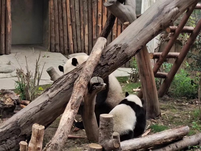微信图片_20230518154422.jpg