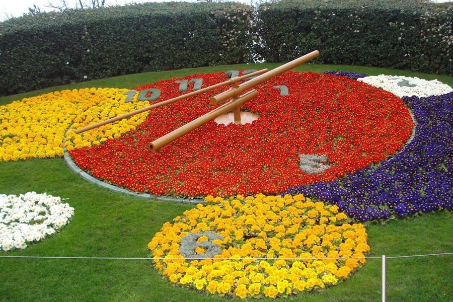 日内瓦花钟201307171821