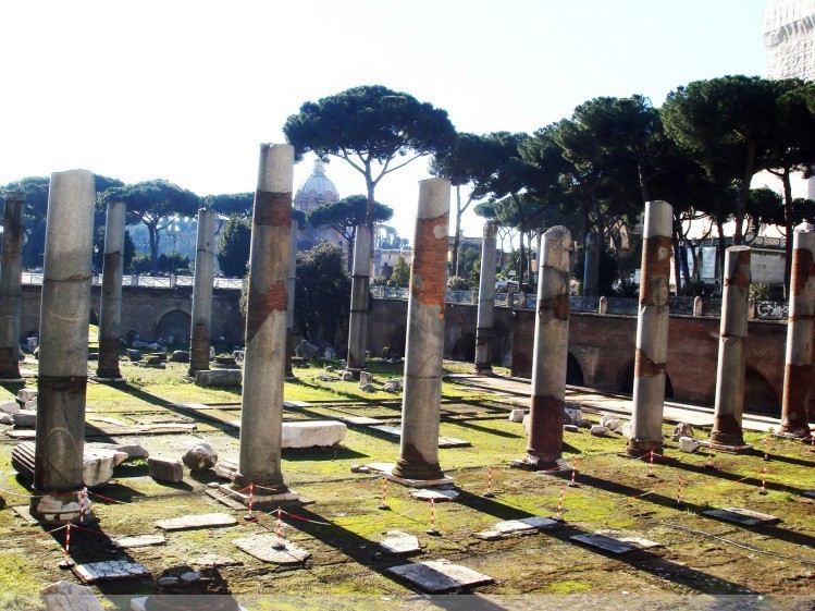 鲜花广场20130718700