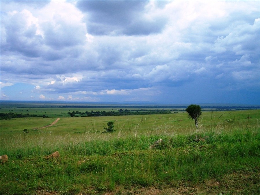 布法罗201307172327