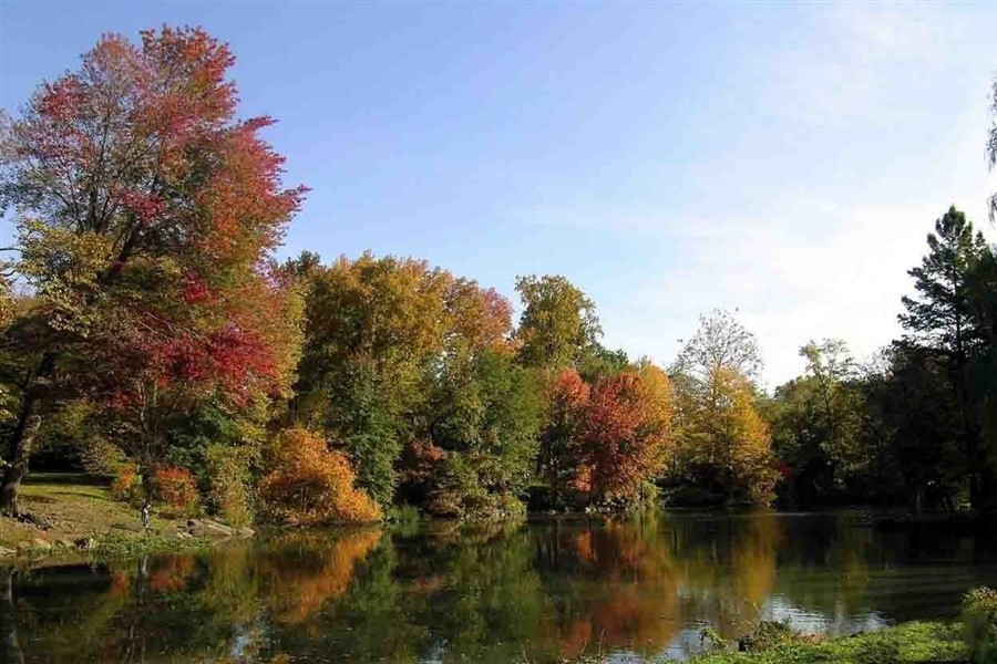 中央公园201307172303