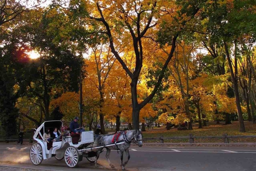 中央公园201307172306