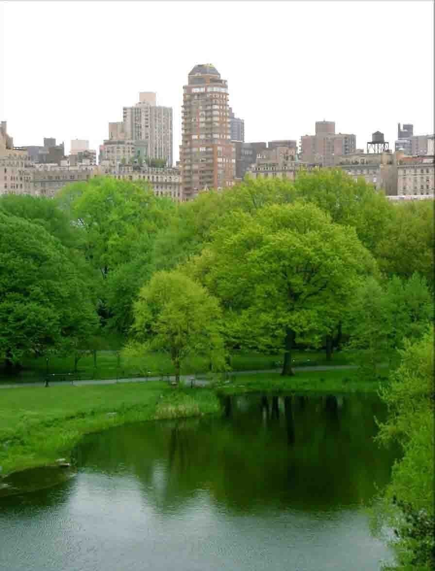 中央公园201307172307