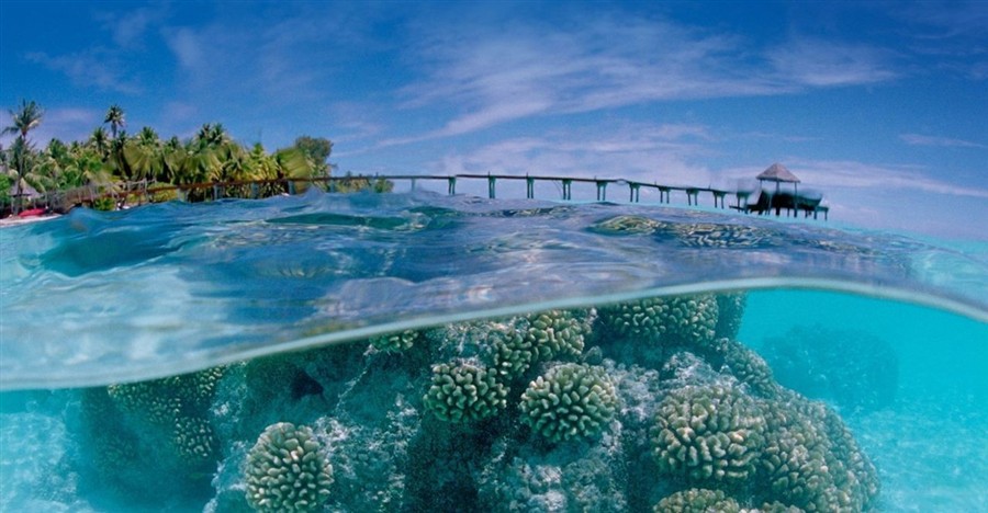 玻里尼西亚文化中心201307172519