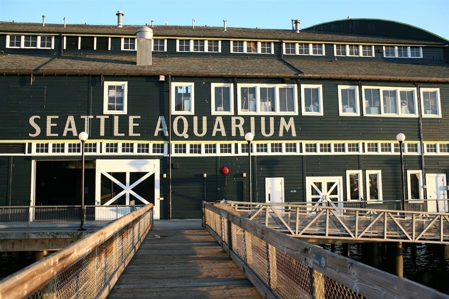 西雅图水族馆201307192587