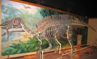 太平洋科学中心201307192584