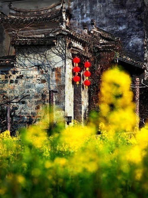 黄山市20130726221