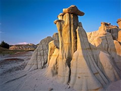 罗斯福国家公园