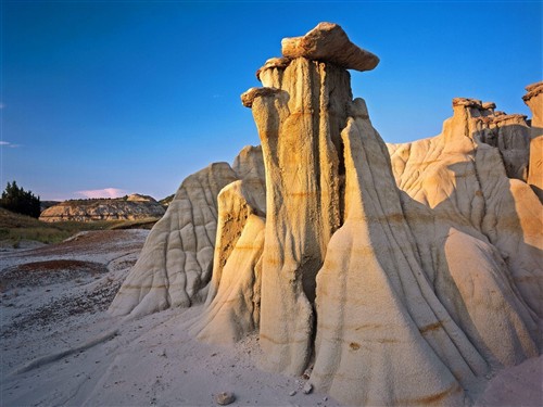 罗斯福国家公园