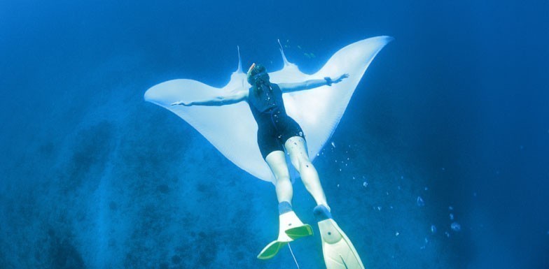 菲兹杰拉德生物保护区20130808775