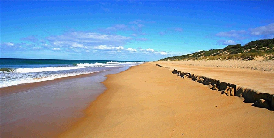 80英里海滩20130808729