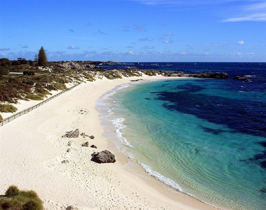 洛特尼斯岛20130808697