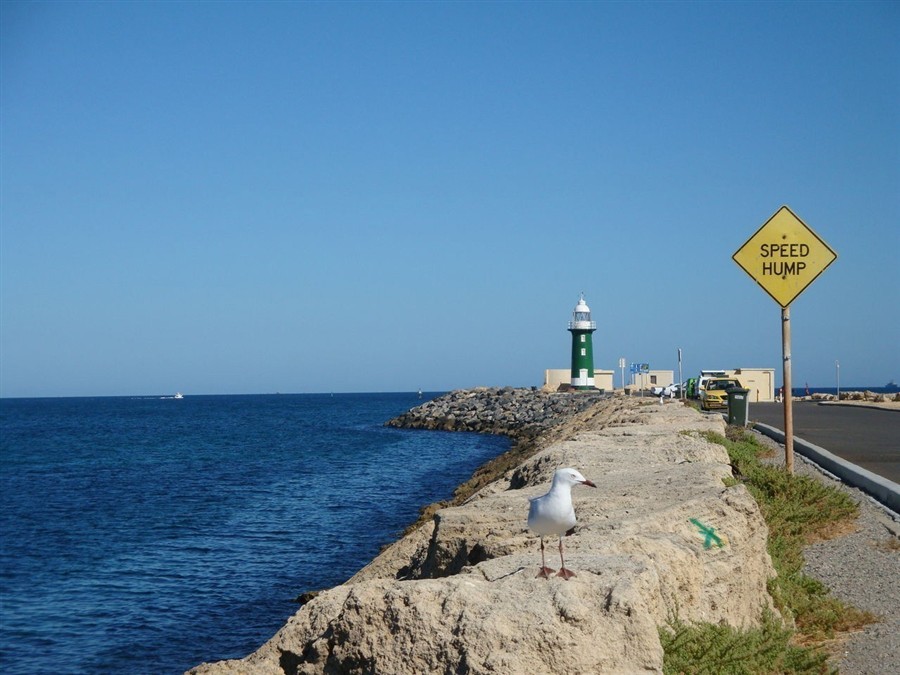 弗里曼特尔20130808673