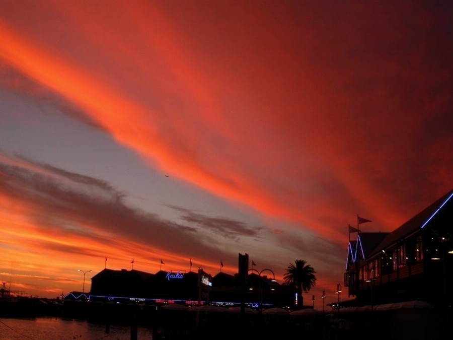 弗里曼特尔20130808674