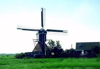 小孩堤防风车村201308101712