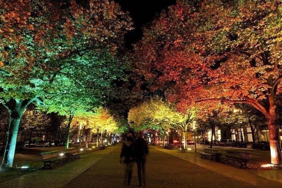 菩提树下大街20130810477