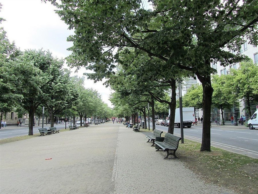 菩提树下大街20130810480