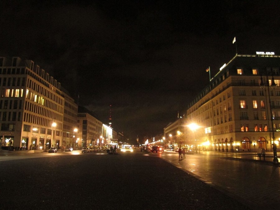 菩提树下大街20130810484