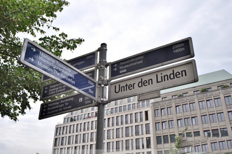 菩提树下大街20130810486