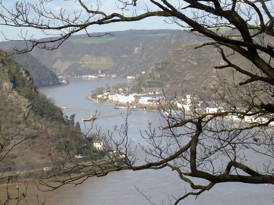 莱茵河20130810698