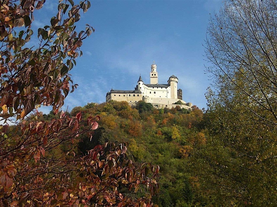 莱茵河20130810695