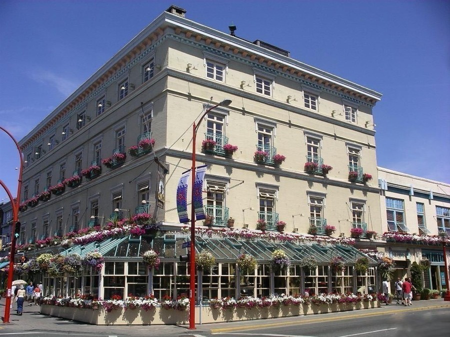 天鹅咖啡馆20130813639