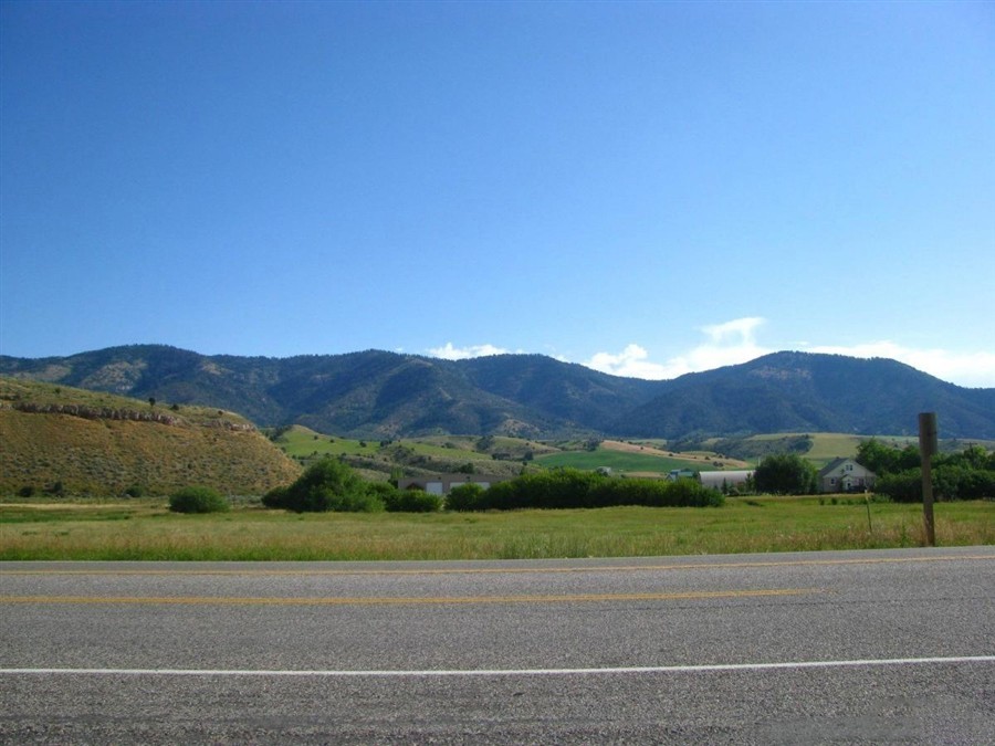 天鹅咖啡馆20130813642