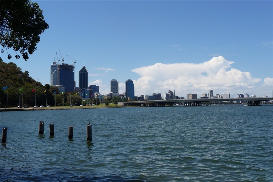 天鹅咖啡馆20130813643