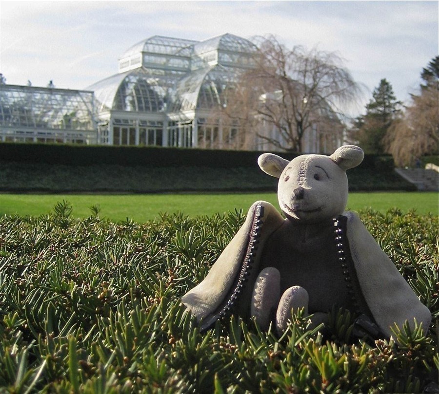 水晶宫201308102390