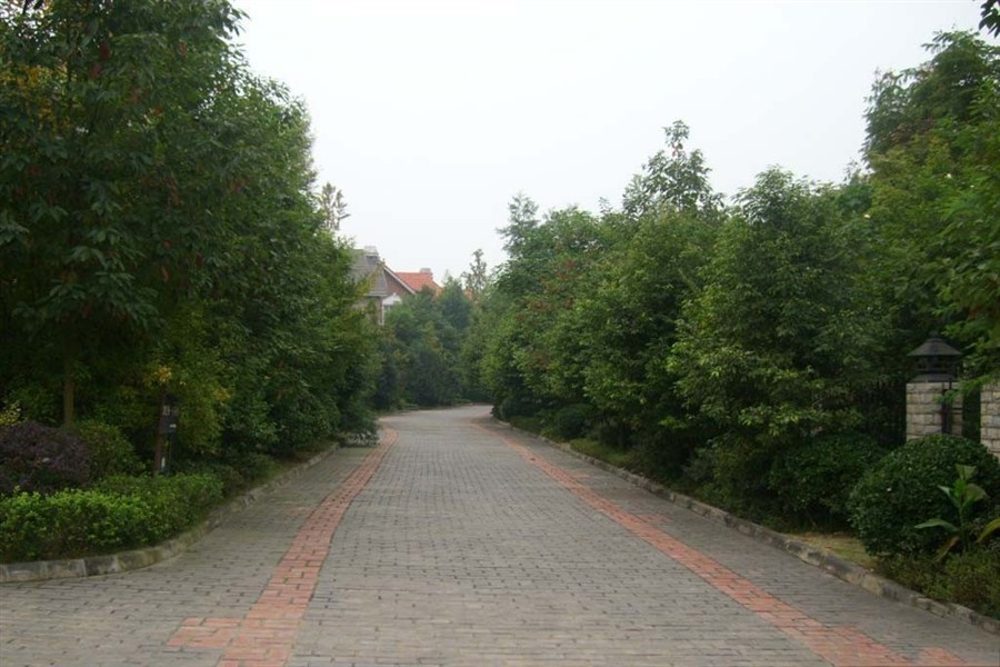 维也纳森林201308102365