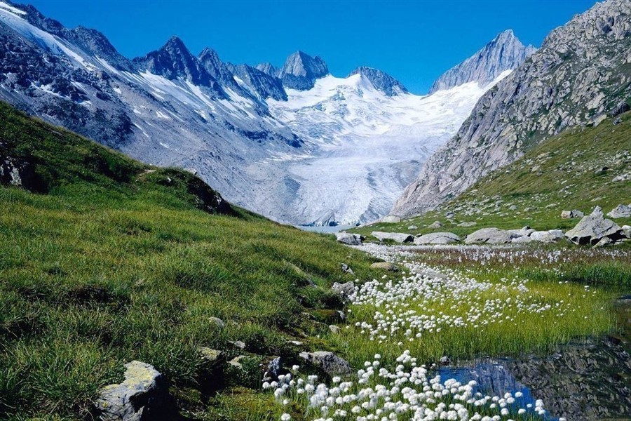 维也纳中央陵园201308102476