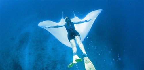 菲兹杰拉德生物保护区