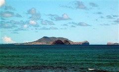 乌龟岛