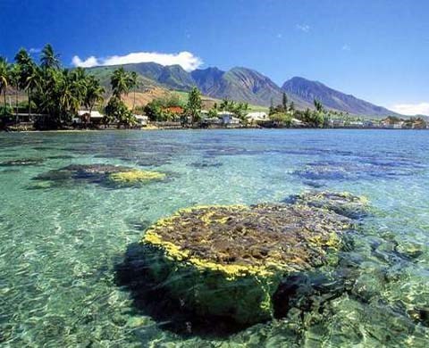 白沙湾海滩1.jpg