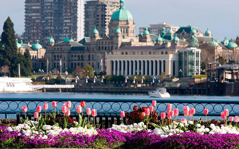  维多利亚内港 (1).jpg