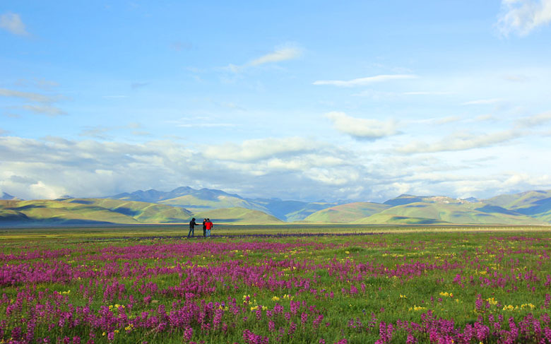 毛垭大草原_by keh.jpg