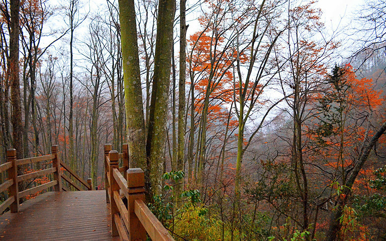 光雾山_by 涓涓流水.jpg