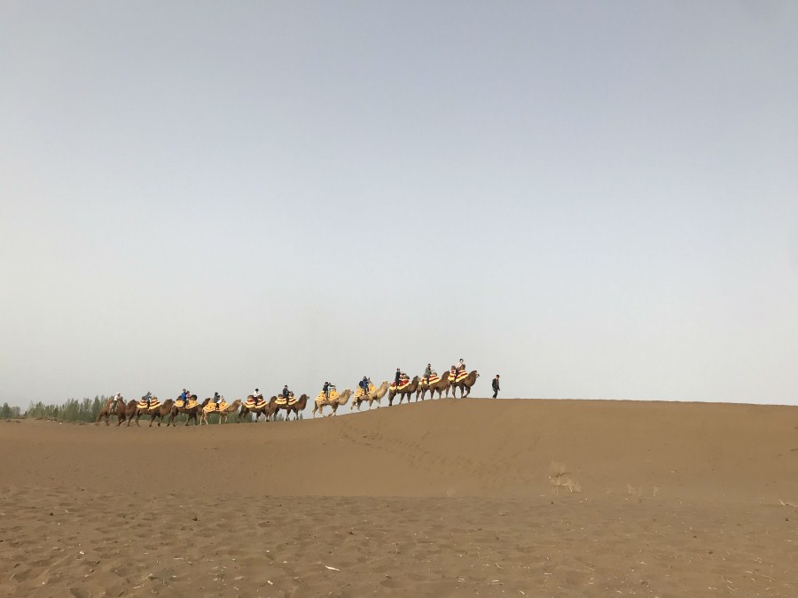 库木塔格沙漠4.jpg