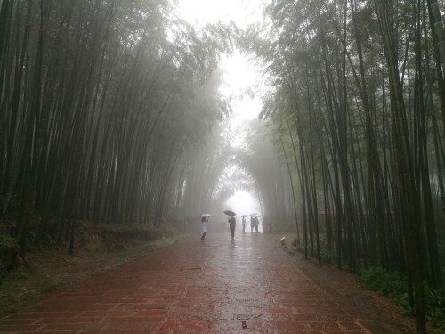 蜀南竹海