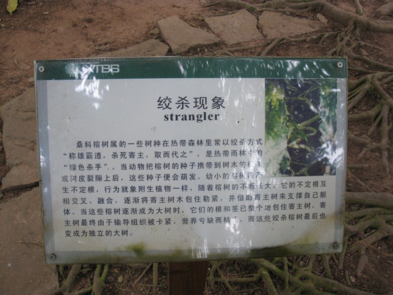 IMG_8734.jpg
