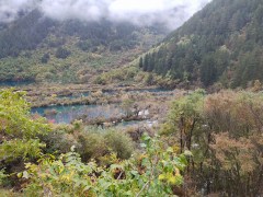 树正沟