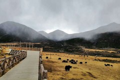 新都桥
