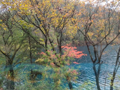 阿坝州